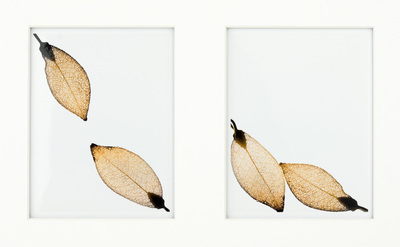 Two vertical pictures, each with gold-colored leaf-shaped earrings. The one on the left has a leaf in the upper left and lower right corners, with the ends pointing to the center; the one on the right has both leaves on the bottom of the frame, leaning against each other.